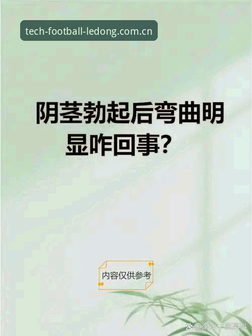 中国足球培训方案乐动体育安卓客户端 索斯盖特纪录片解读教程——在乐动体育培训平台看透“男性圈层”现象